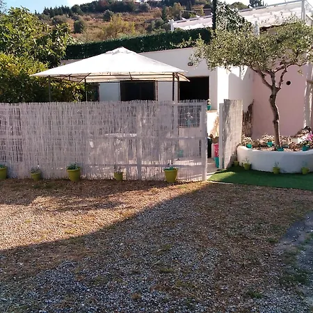 Rosa Blu كاستيلاباتي